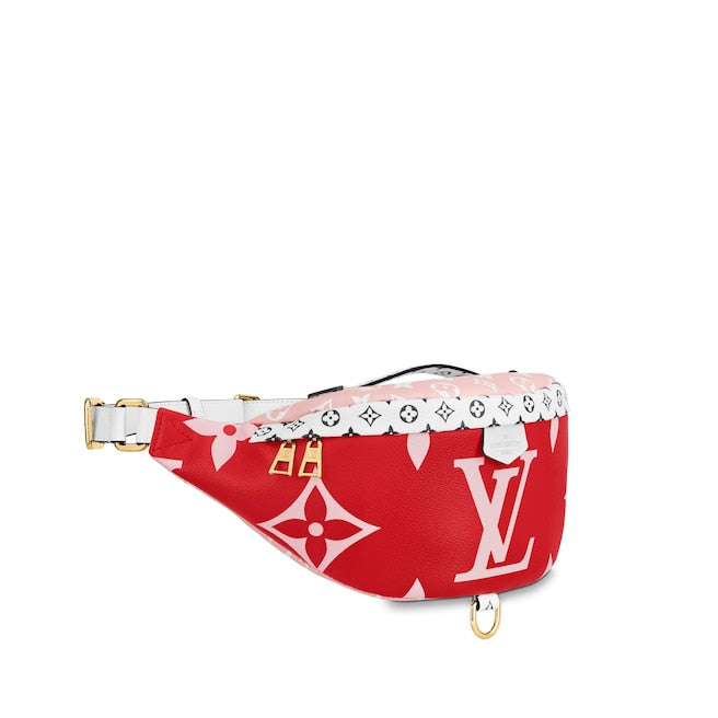 Louis Vuitton Bumbag